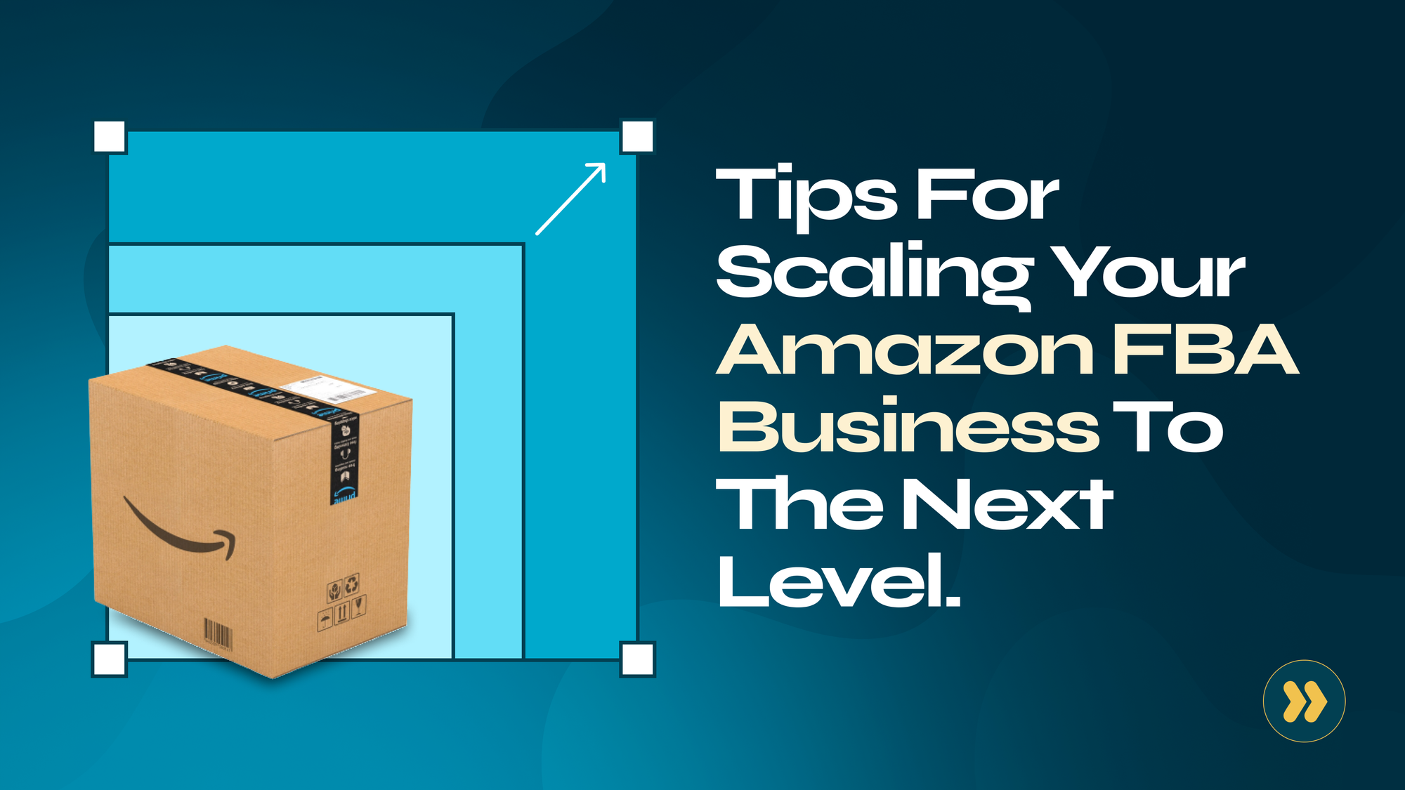 Tips for Scaling Your Amazon FBA Business to the Next Level